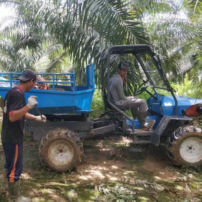 Sistema hidráulico Trator de óleo de palma para plantações agrícolas de óleo de palma