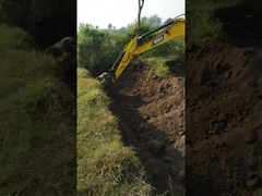 Estojo compacto de 8 toneladas hidráulico Mini Excavator de Mini Excavator da operação flexível
