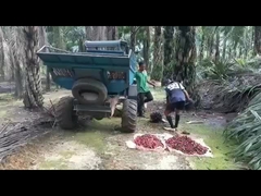 o peso aberto 1250kg da segadora de óleo de palma do táxi de 1325mm com luta