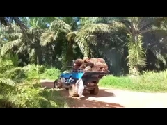 Sistema hidráulico Máquina de tractor de óleo de palma para extração eficiente de óleo de palma